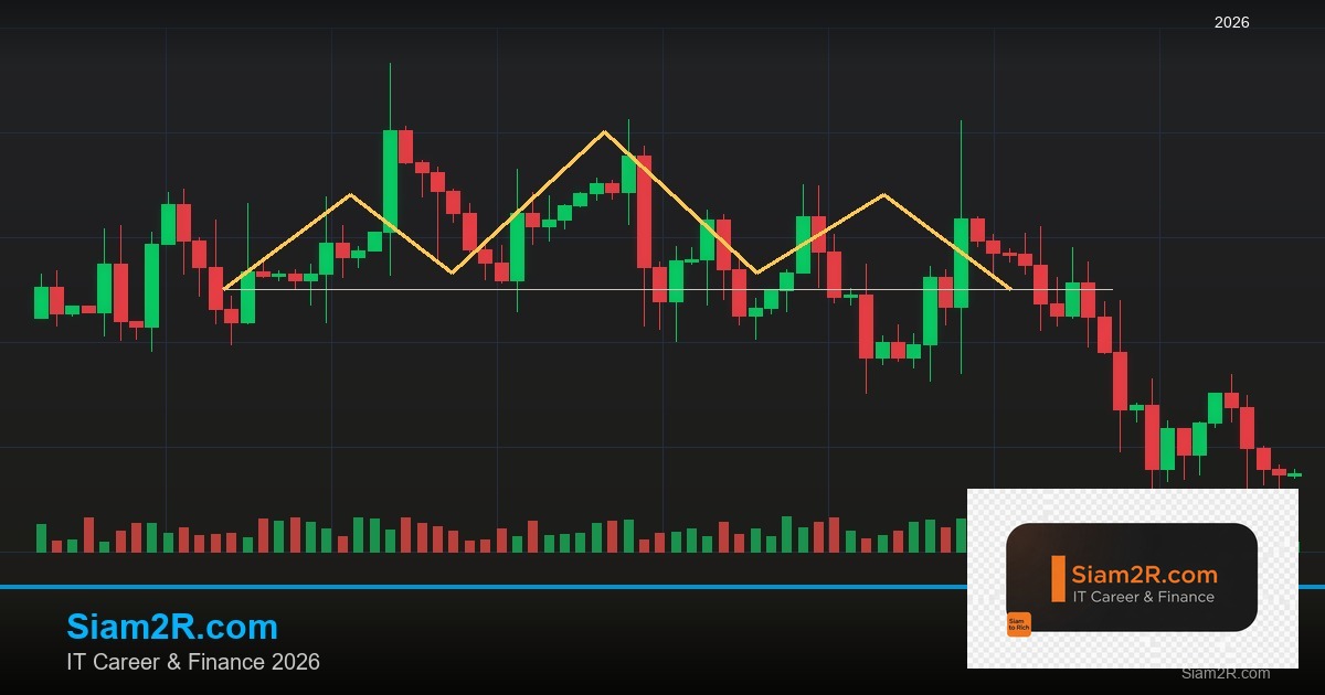 ลดภาษี Freelance เทคนิคประหยัดภาษี รอบ 329