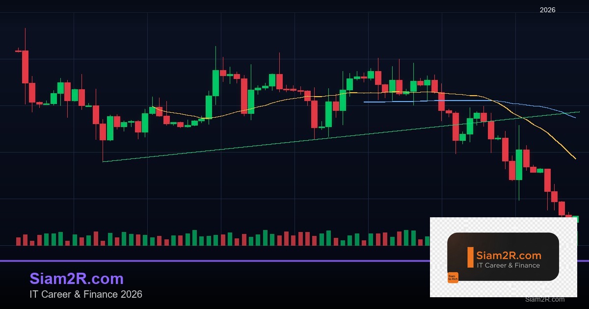 DevOps Career Path เงินเดือนและทักษะ รอบ 77