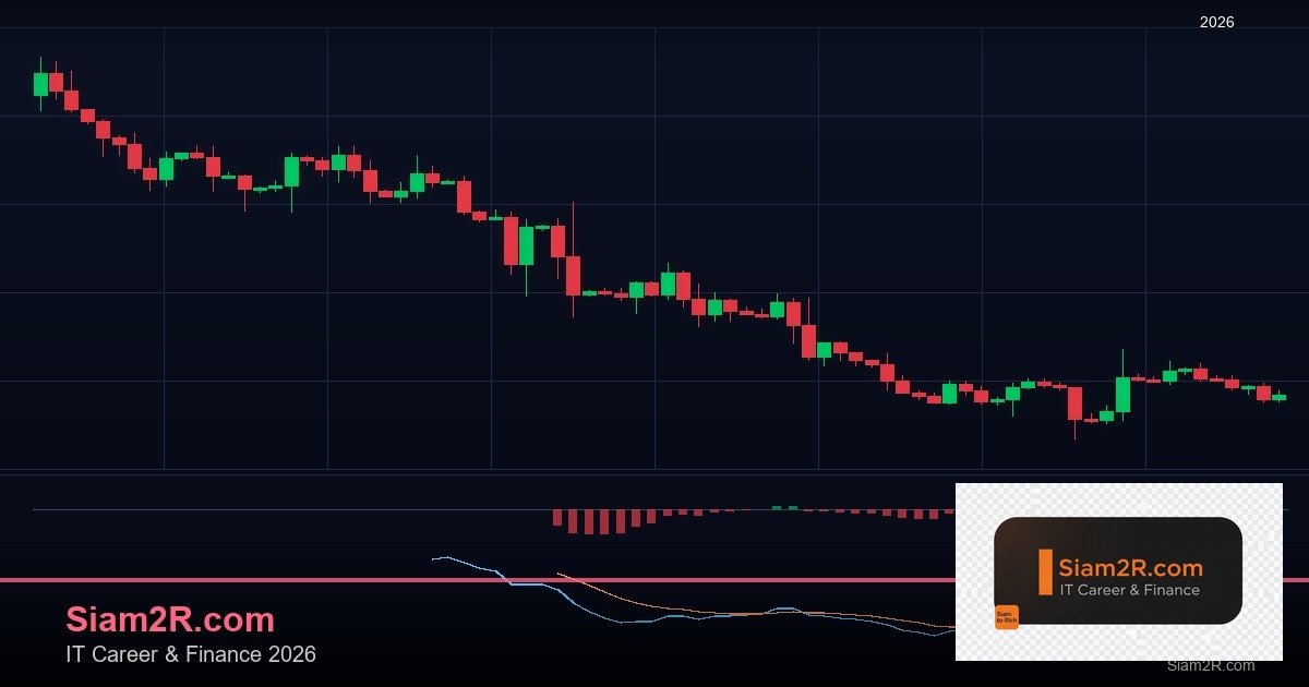 ลดภาษี Freelance เทคนิคประหยัดภาษี รอบ 67