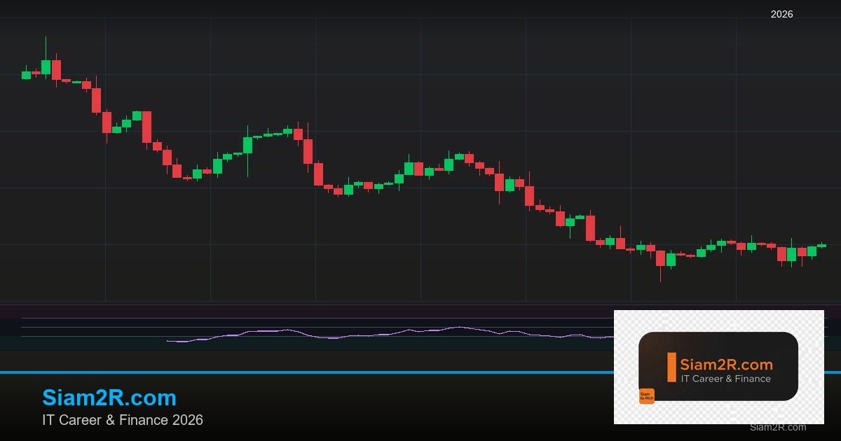 หุ้นมือใหม่ เริ่มลงทุนหุ้นไทยอย่างปลอดภัย รอบ 266