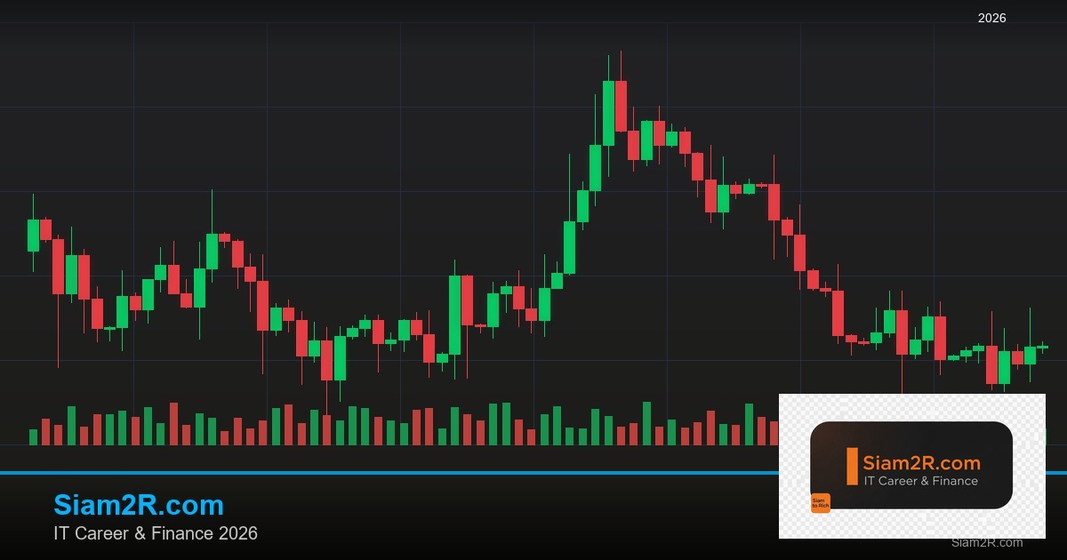 หุ้นมือใหม่ เริ่มลงทุนหุ้นไทยอย่างปลอดภัย รอบ 315