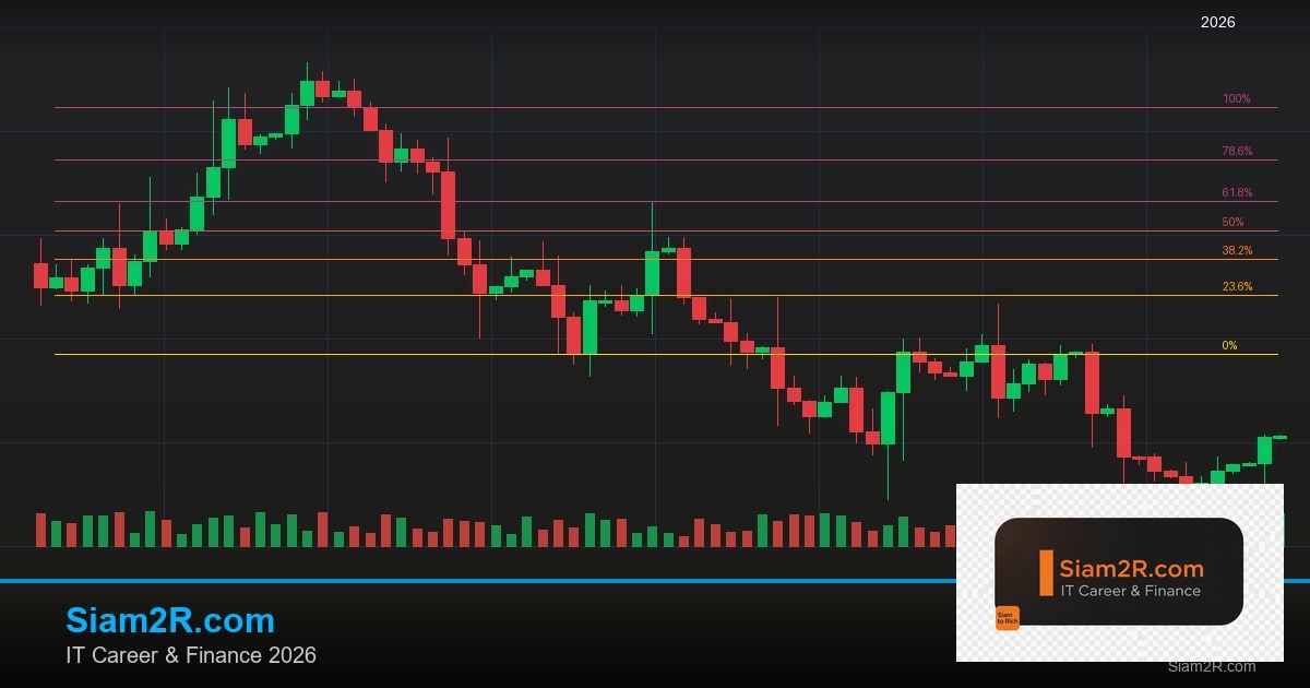 ลดภาษี Freelance เทคนิคประหยัดภาษี รอบ 245