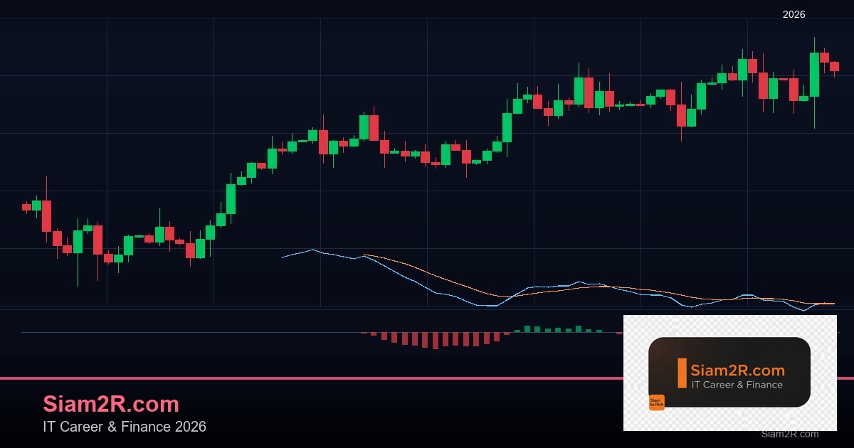 Forex Crypto Wallet กระเป๋าเงินดิจิทัล 2569