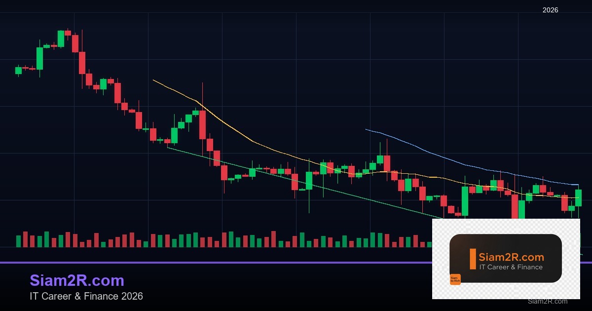 ลดภาษี Freelance เทคนิคประหยัดภาษี รอบ 48