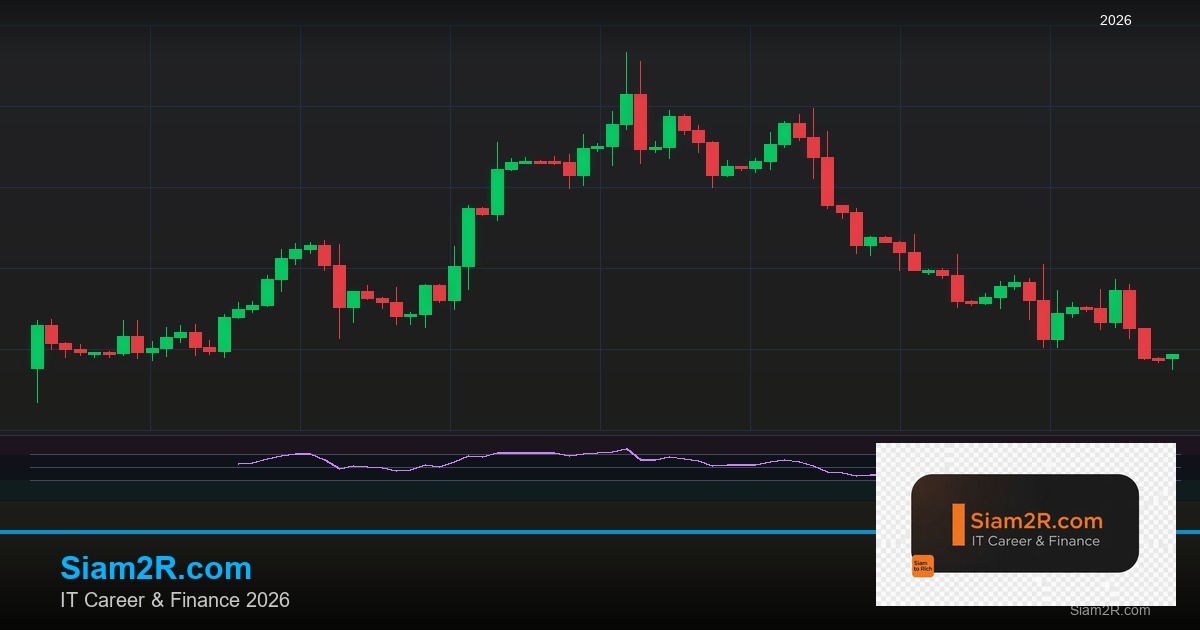หุ้นมือใหม่ เริ่มลงทุนหุ้นไทยอย่างปลอดภัย รอบ 248