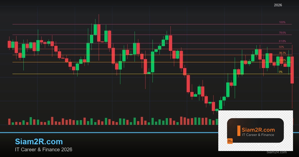 Hedging ป้องกันความเสี่ยง Forex คู่มือครบวงจร สำหรับมืออาชีพ