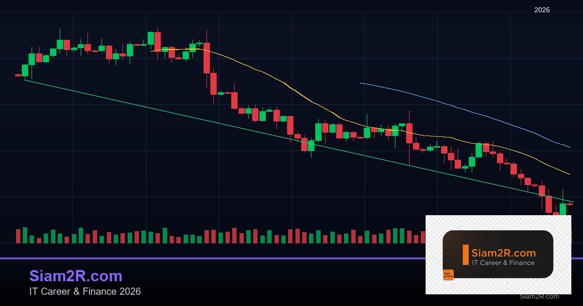 DevOps Career Path เงินเดือนและทักษะ รอบ 176