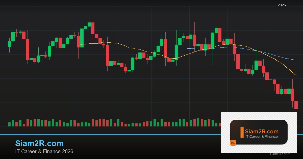 หุ้นมือใหม่ เริ่มลงทุนหุ้นไทยอย่างปลอดภัย รอบ 238