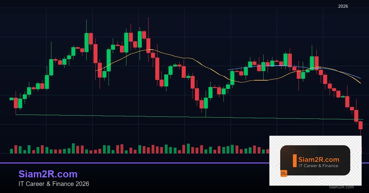 ลดภาษี Freelance เทคนิคประหยัดภาษี รอบ 164