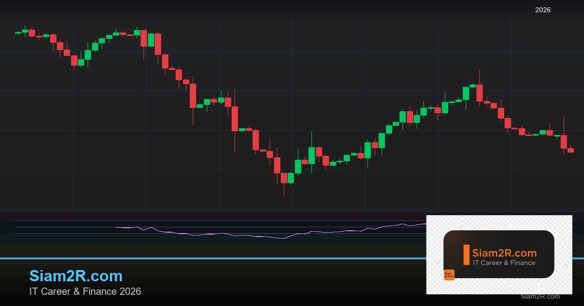 ลดภาษี Freelance เทคนิคประหยัดภาษี รอบ 213