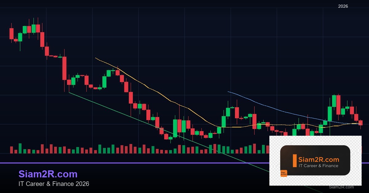 ลดภาษี Freelance เทคนิคประหยัดภาษี รอบ 50