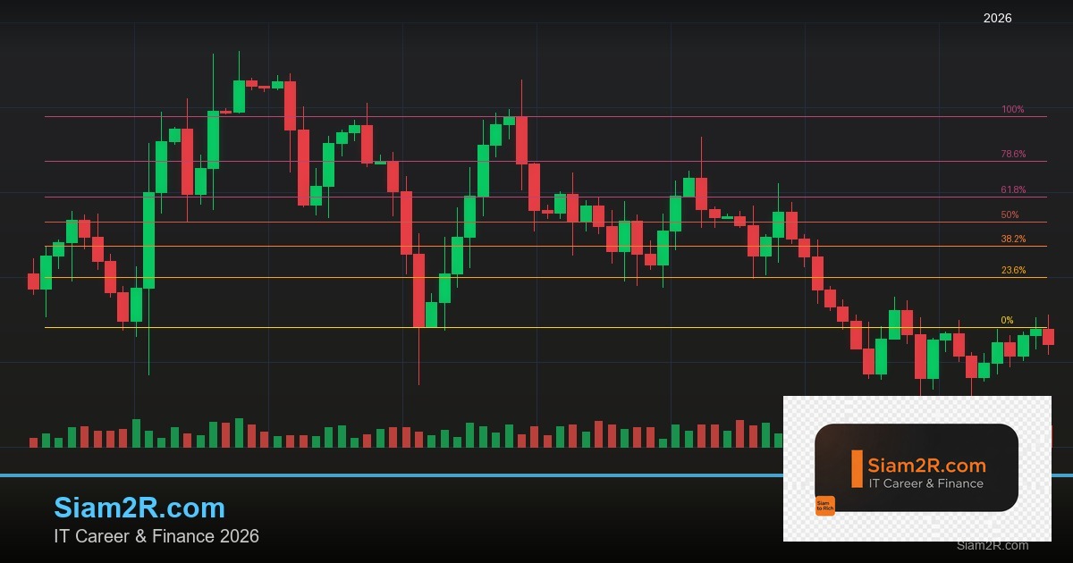 หุ้นมือใหม่ เริ่มลงทุนหุ้นไทยอย่างปลอดภัย รอบ 221
