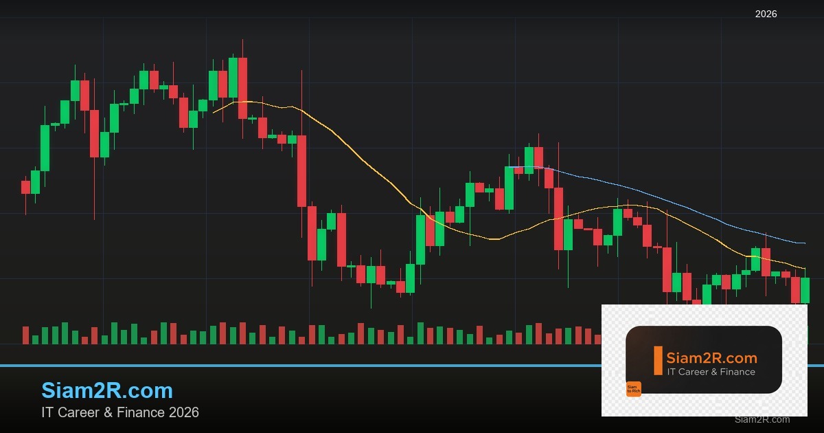 DevOps Career Path เงินเดือนและทักษะ รอบ 304