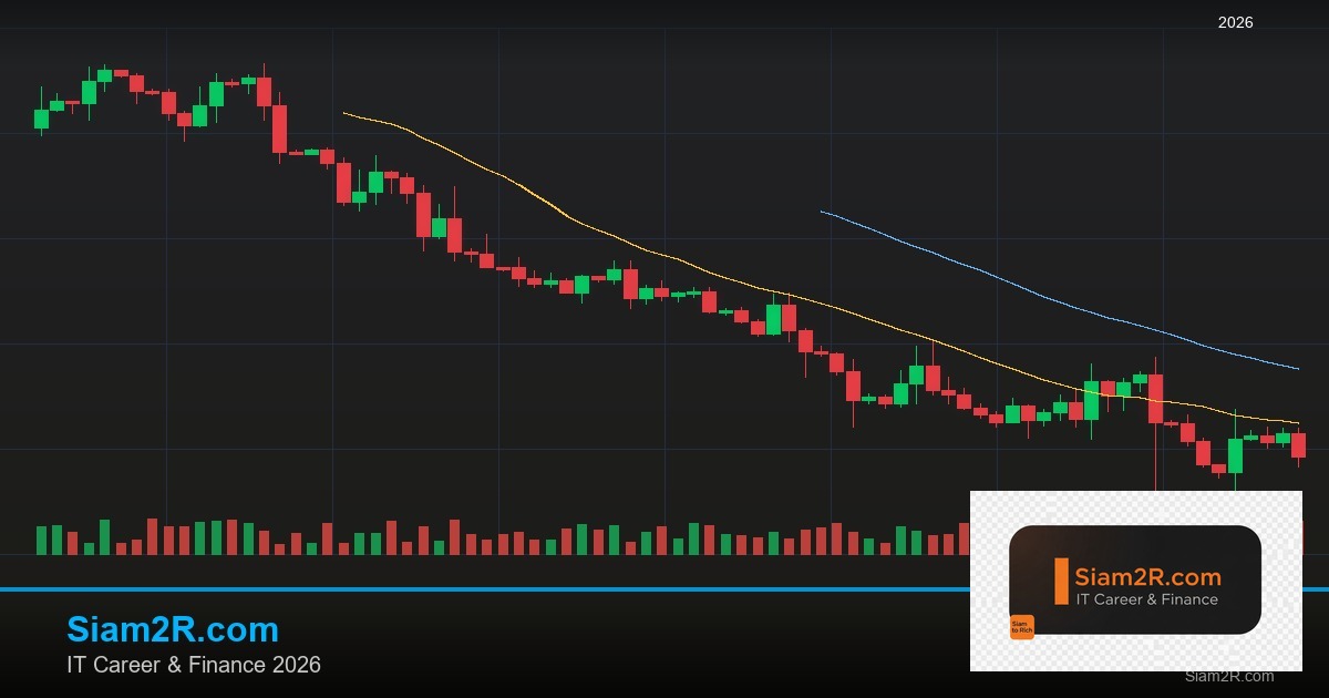 ประกันชีวิตแบบไหนดี: Term Life vs Whole Life vs Unit Linked