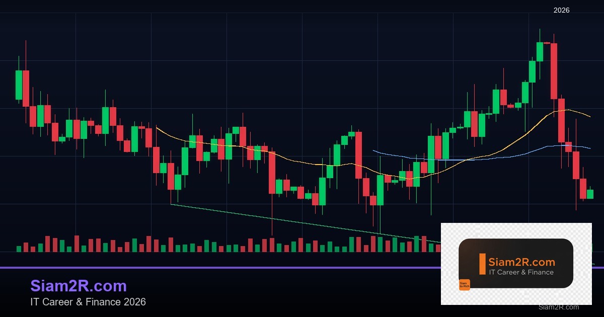 Volume Profile: วิธีใช้ Volume วิเคราะห์แนวรับแนวต้านที่แท้จริง