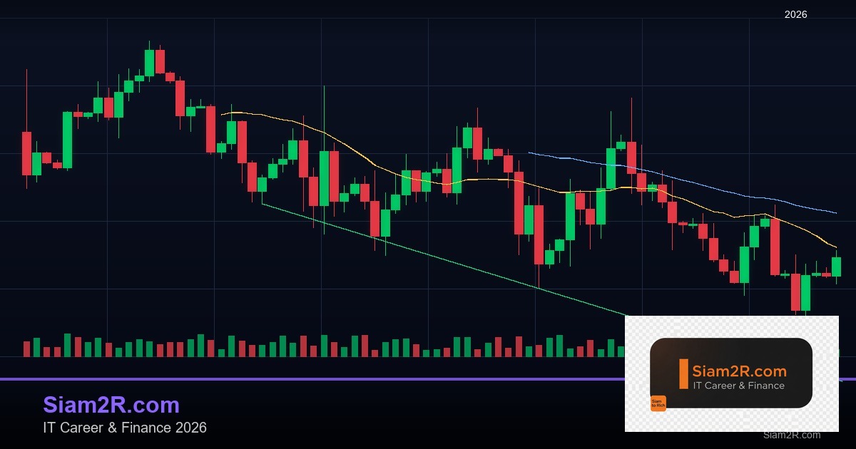 หุ้นมือใหม่ เริ่มลงทุนหุ้นไทยอย่างปลอดภัย รอบ 75