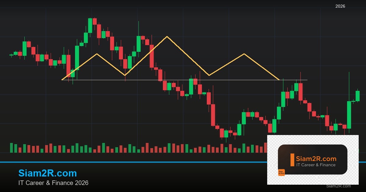 ลดภาษี Freelance เทคนิคประหยัดภาษี รอบ 229