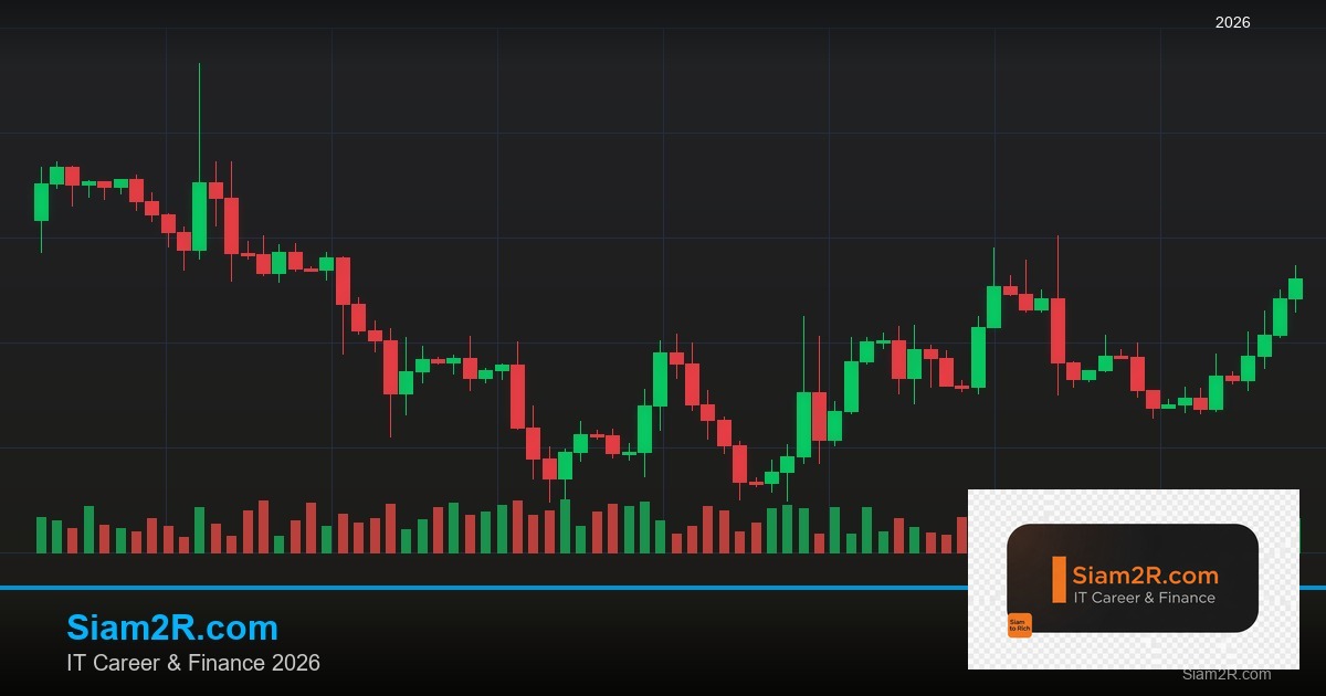 ลดภาษี Freelance เทคนิคประหยัดภาษี รอบ 266