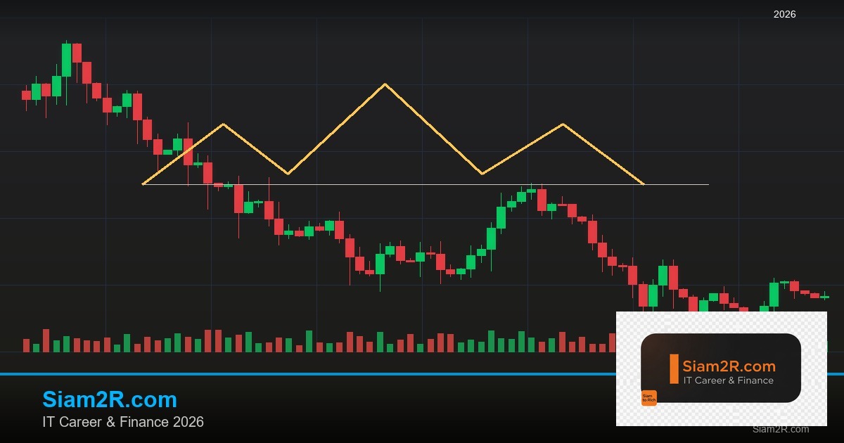 ลดภาษี Freelance เทคนิคประหยัดภาษี รอบ 20