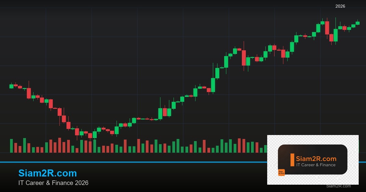ลดภาษี Freelance เทคนิคประหยัดภาษี รอบ 173