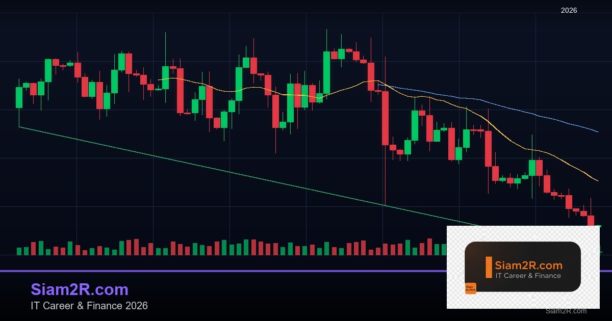 Backtesting: วิธีทดสอบกลยุทธ์เทรดก่อนใช้เงินจริง