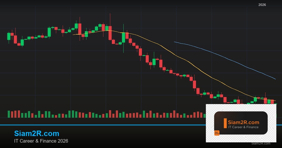 DevOps Career Path เงินเดือนและทักษะ รอบ 123