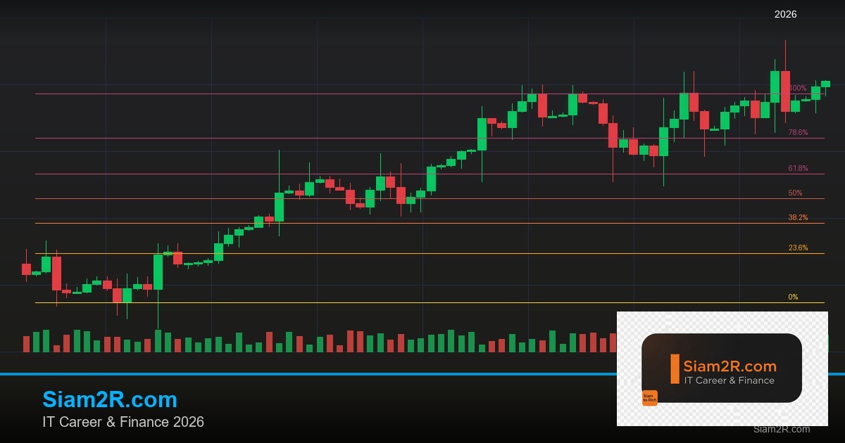 ลดภาษี Freelance เทคนิคประหยัดภาษี รอบ 207