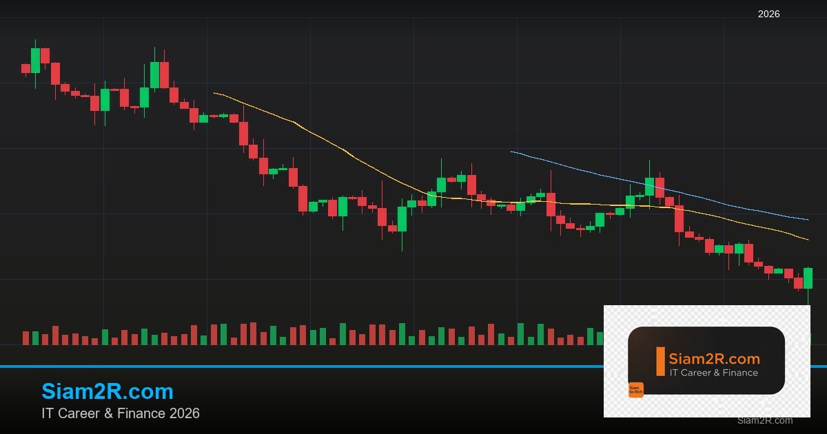 DevOps Career Path เงินเดือนและทักษะ รอบ 62