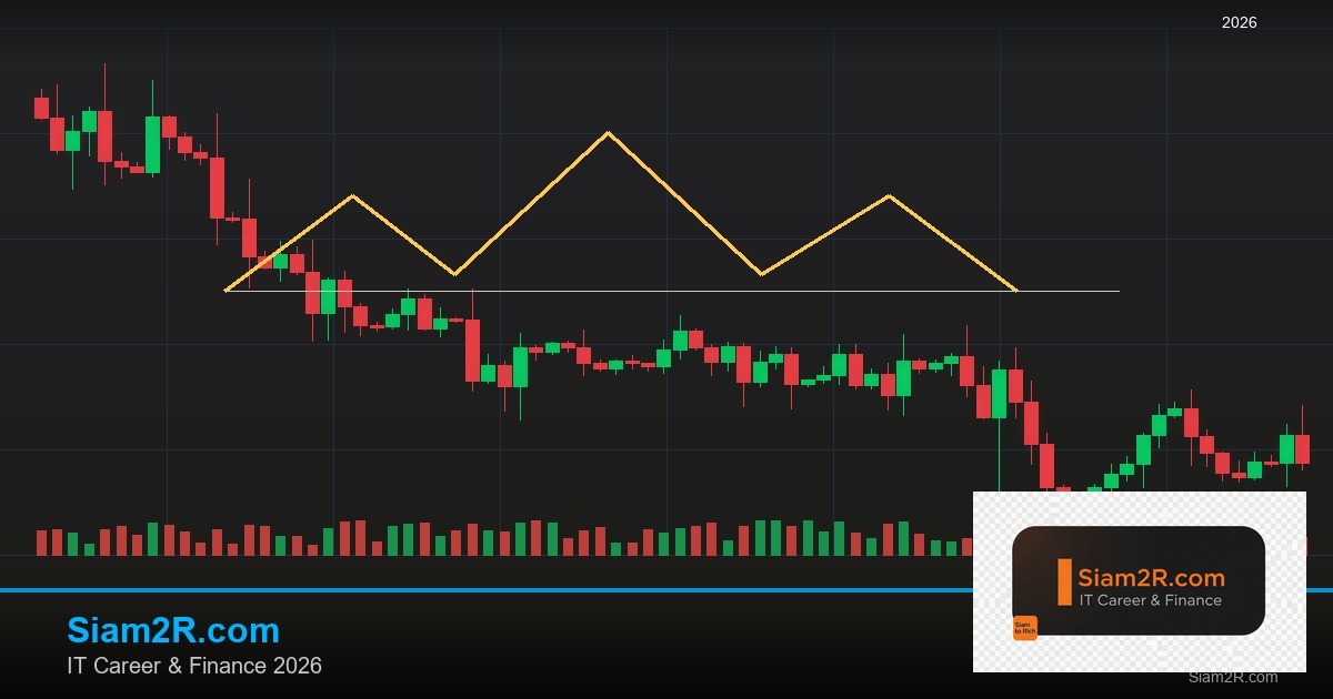 DevOps Career Path เงินเดือนและทักษะ รอบ 232