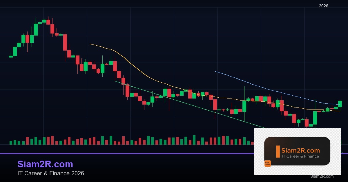 ภาษีเงินได้บุคคลธรรมดา: คำนวณภาษีและลดหย่อนอย่างถูกต้อง 2568