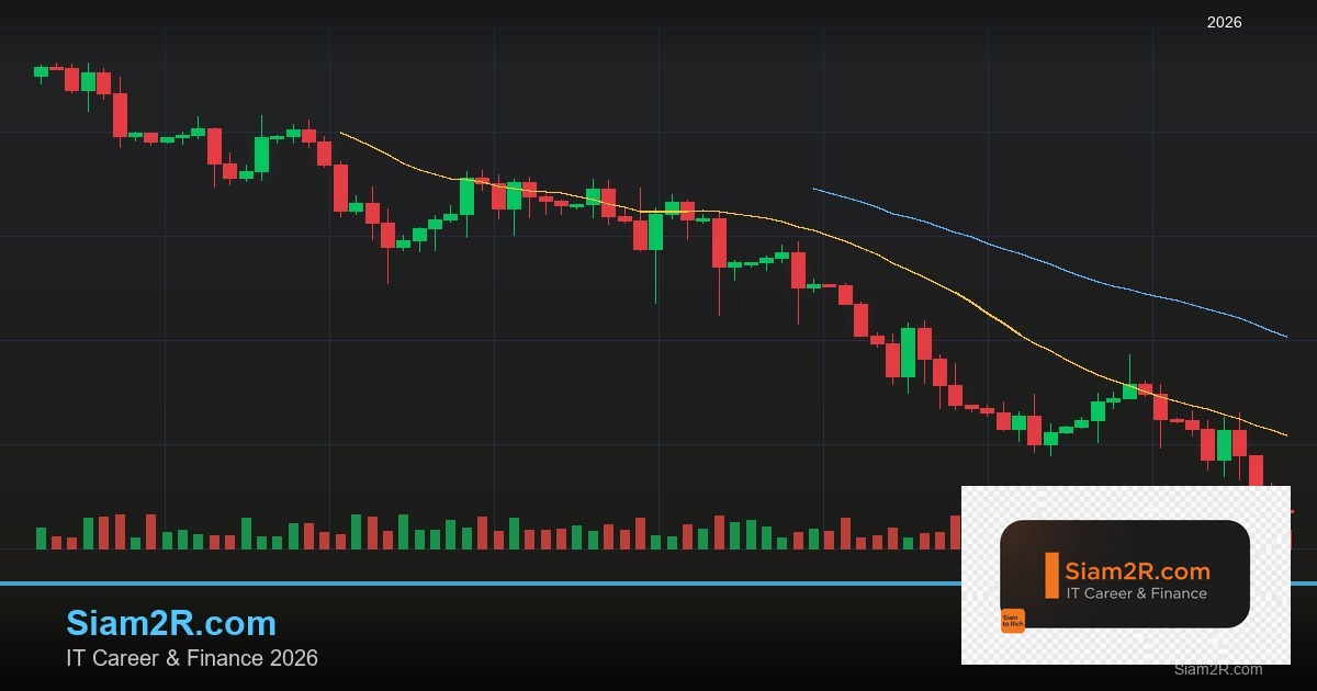 Forex Divergence RSI MACD สัญญาณกลับตัว 2569