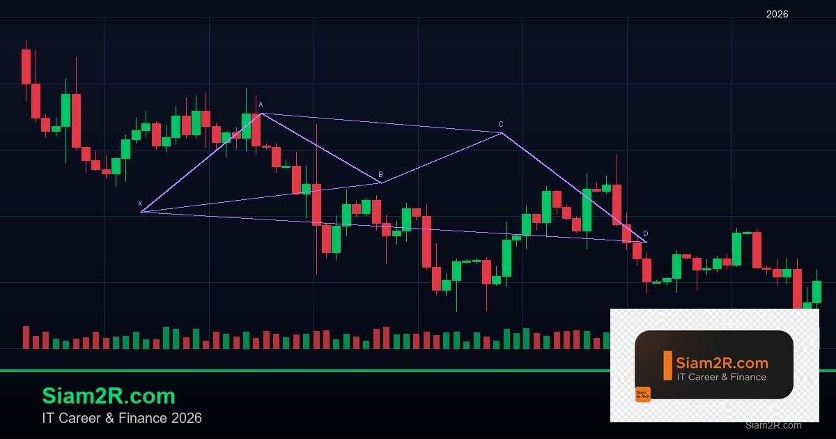 ลดภาษี Freelance เทคนิคประหยัดภาษี รอบ 79