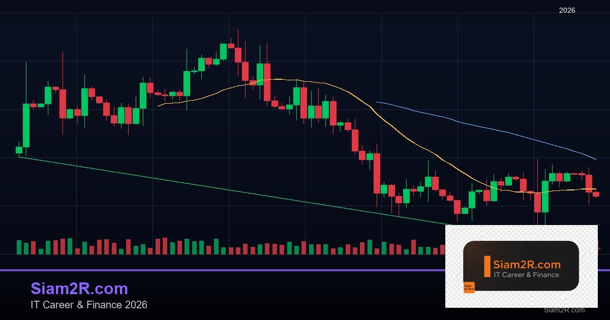 ลดภาษี Freelance เทคนิคประหยัดภาษี รอบ 92