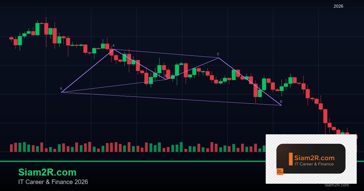 DevOps Career Path เงินเดือนและทักษะ รอบ 82