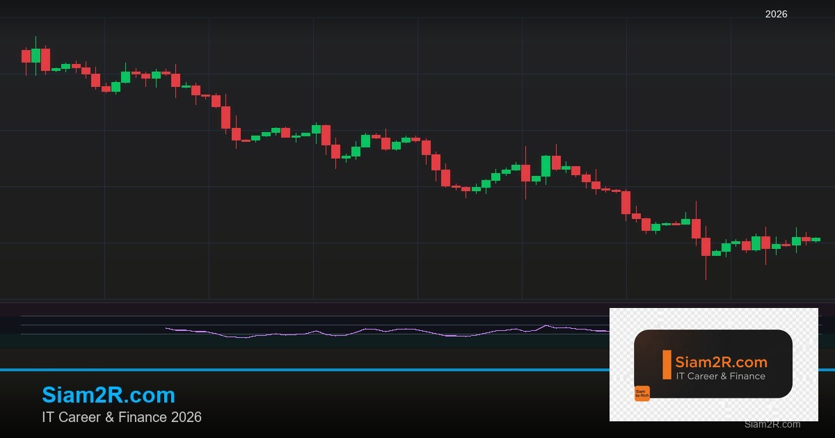 ลดภาษี Freelance เทคนิคประหยัดภาษี รอบ 260