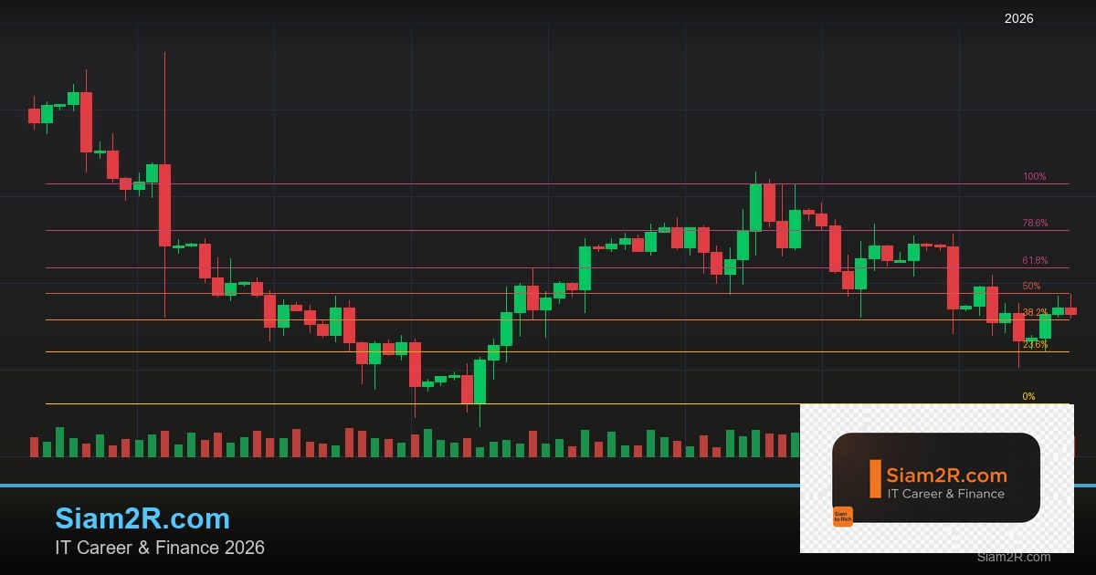 หุ้นมือใหม่ เริ่มลงทุนหุ้นไทยอย่างปลอดภัย รอบ 328