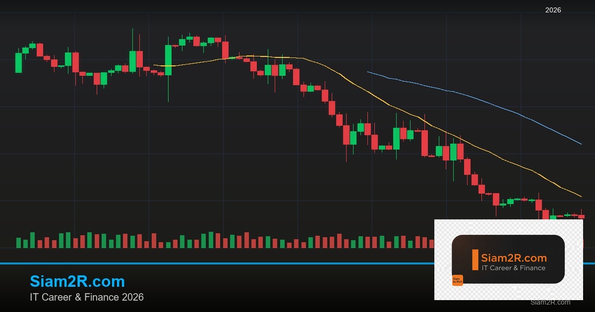 ติดตั้ง EA บน MT5 คู่มือฉบับสมบูรณ์ สำหรับมือใหม่หัดเทรด
