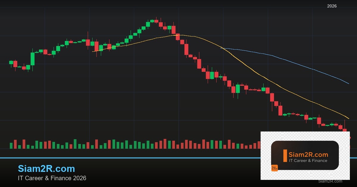 ลดภาษี Freelance เทคนิคประหยัดภาษี รอบ 300