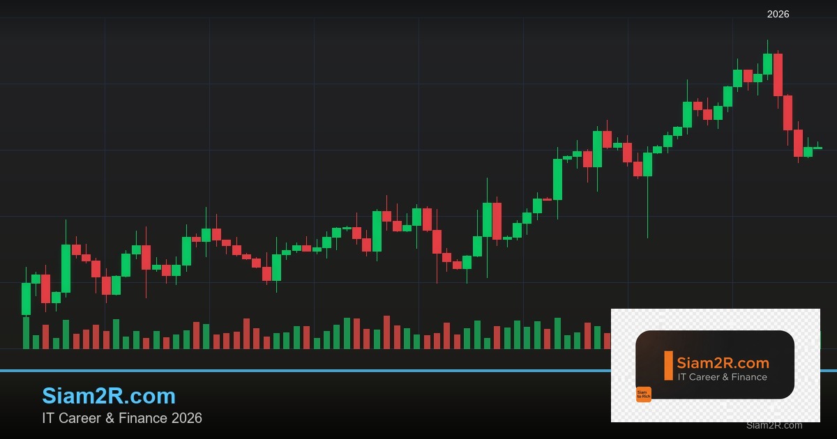 Forex Lot Size คืออะไร Standard Mini Micro เลือกยังไง