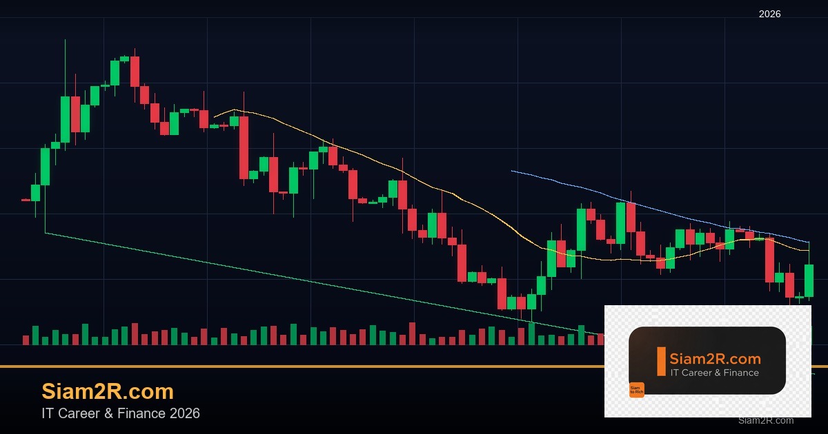 Copy Trade คืออะไร: วิธีคัดลอกการเทรดจากมือโปรอย่างชาญฉลาด 2026