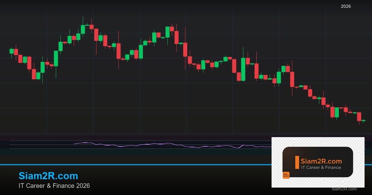 ลดภาษี Freelance เทคนิคประหยัดภาษี รอบ 49