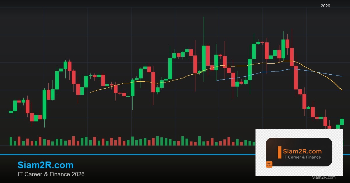 Forex Harmonic Bat แพทเทิร์นค้างคาวเทรด 2569