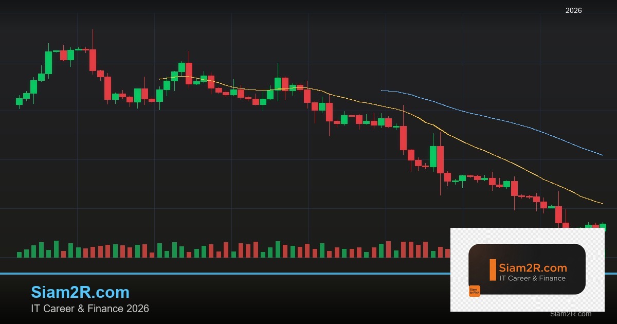 หุ้นมือใหม่ เริ่มลงทุนหุ้นไทยอย่างปลอดภัย รอบ 277