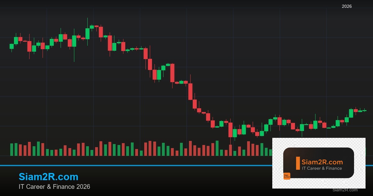 ลดภาษี Freelance เทคนิคประหยัดภาษี รอบ 221