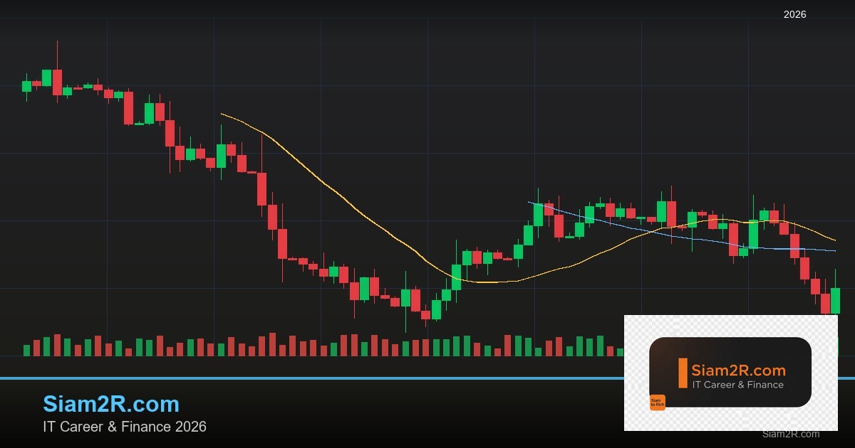 หุ้นมือใหม่ เริ่มลงทุนหุ้นไทยอย่างปลอดภัย รอบ 273