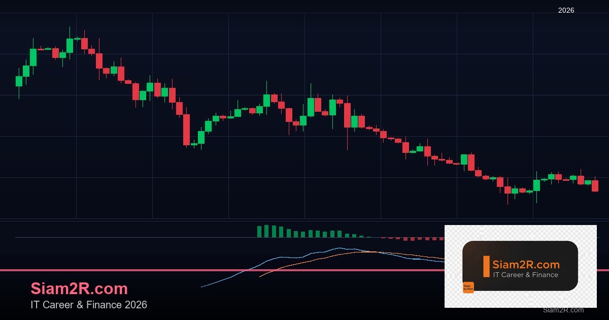 หุ้นมือใหม่ เริ่มลงทุนหุ้นไทยอย่างปลอดภัย รอบ 246