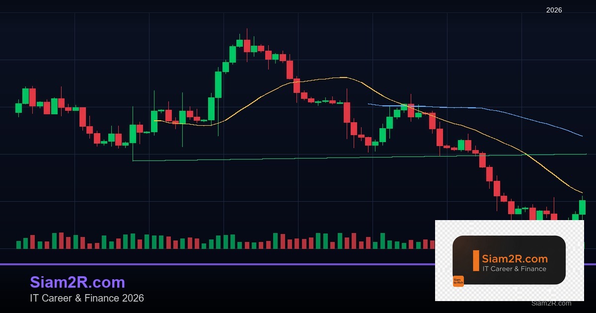 หุ้นมือใหม่ เริ่มลงทุนหุ้นไทยอย่างปลอดภัย รอบ 163