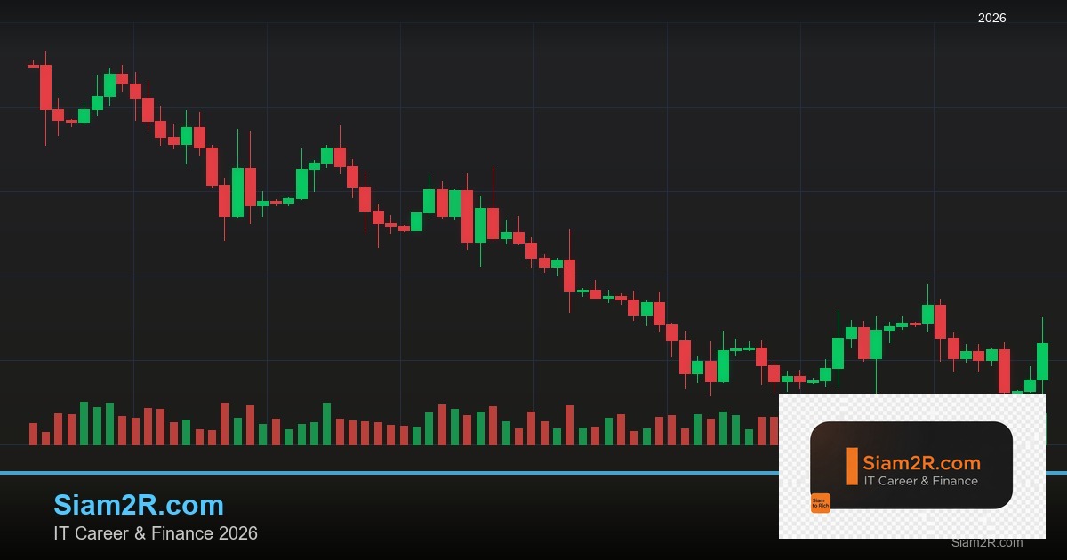 ลดภาษี Freelance เทคนิคประหยัดภาษี รอบ 220