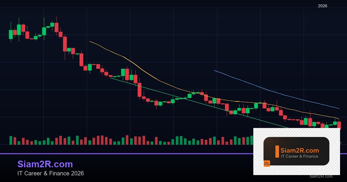 DevOps Career Path เงินเดือนและทักษะ รอบ 311