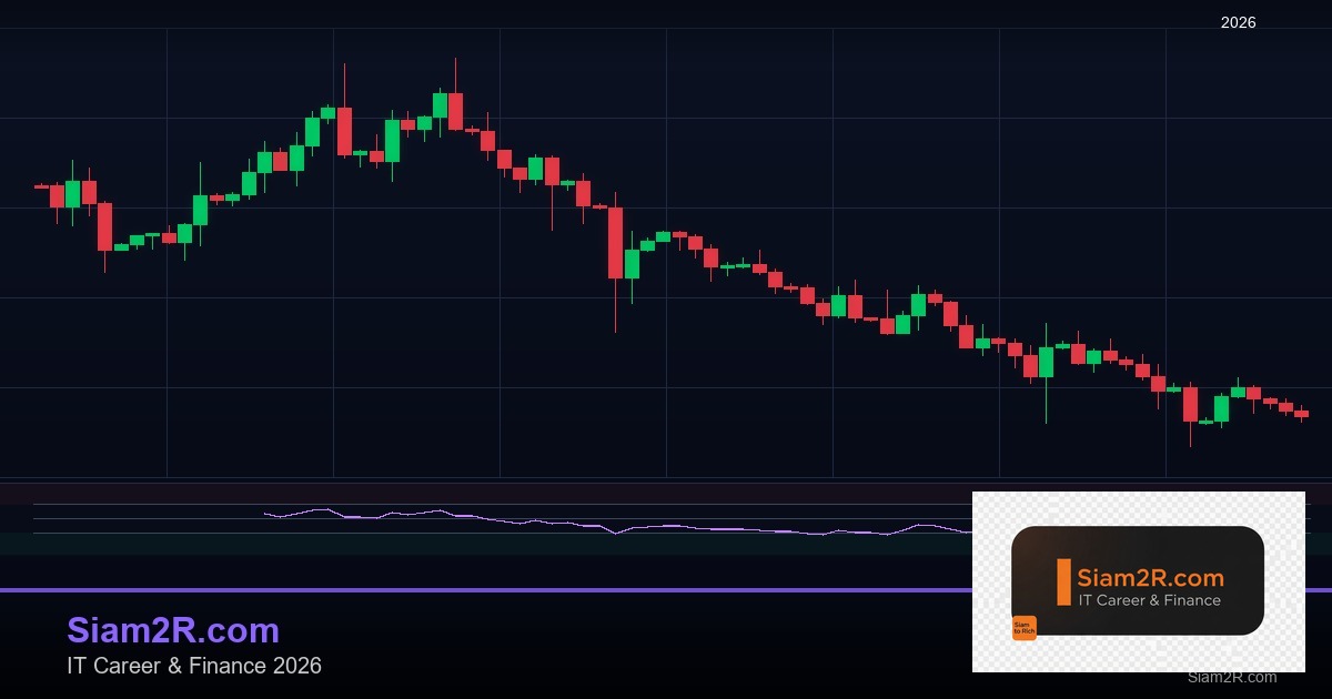 ลดภาษี Freelance เทคนิคประหยัดภาษี รอบ 274